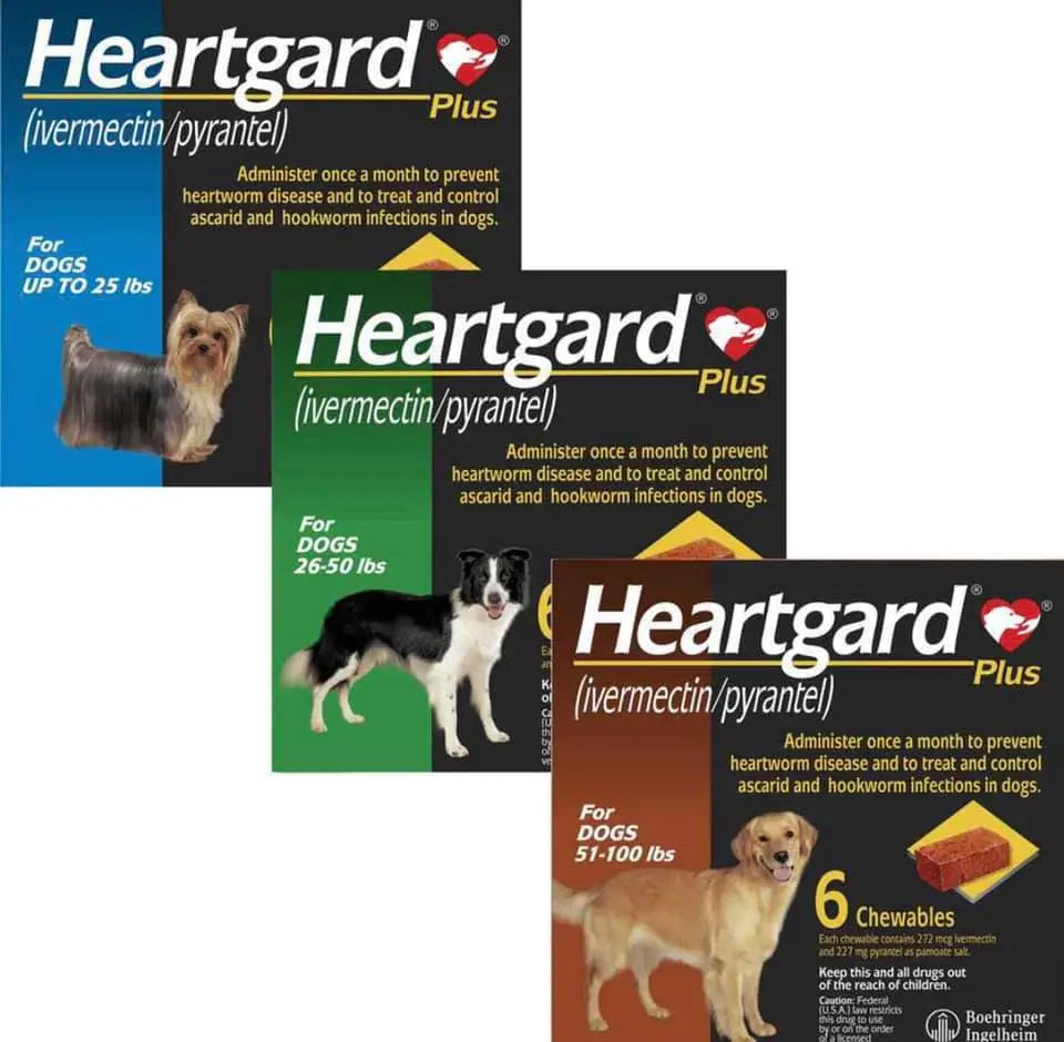 Heartgard Plus 預防心絲蟲咀嚼配方