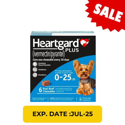 Heartgard Plus 預防心絲蟲咀嚼配方 Dogs up to 25lbs (BLUE)