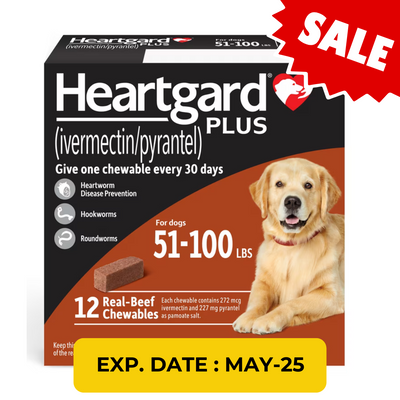 Heartgard Plus 預防心絲蟲咀嚼配方 Dogs 51-100lbs (BROWN)