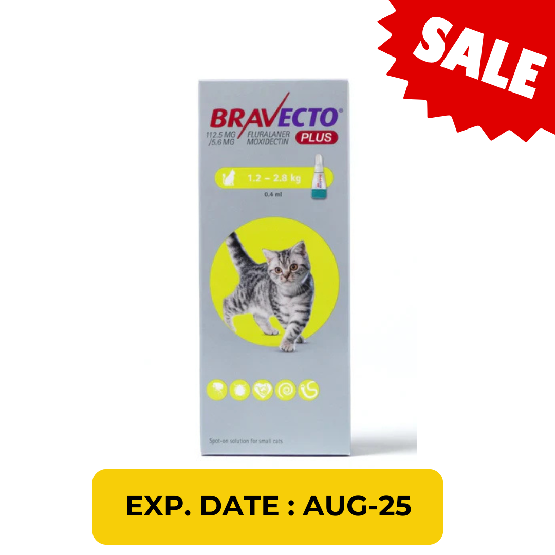 Bravecto Plus Spot-On For Cats 1.2-2.8kg