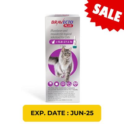 Bravecto Plus Spot-On For Cats