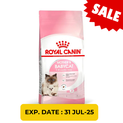 Royal Canin 法國皇家－離乳初生貓及母貓營養配方