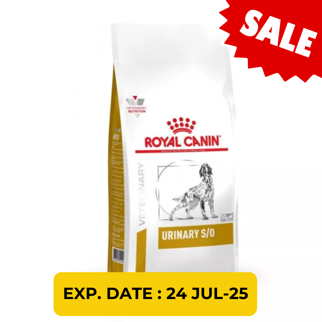 ROYAL CANIN  - CANINE URINARY S/O / 犬用泌尿道配方糧