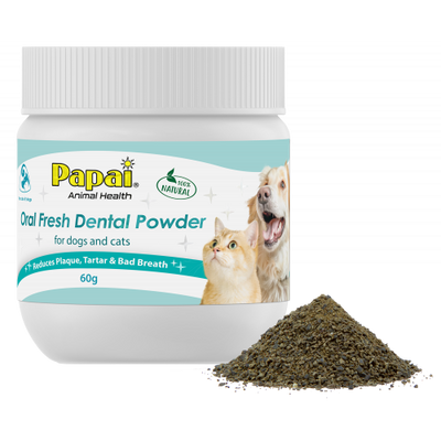 Papai 巴派 海藻深層潔牙粉 60g  Oral Fresh Dental Powder for Dogs & Cats 原味 [貓狗適用]