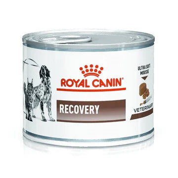 ROYAL CANIN - CANINE & FELINE RECOVERY CANNED 195G / 犬隻或貓重症營養補給配方罐頭 195克