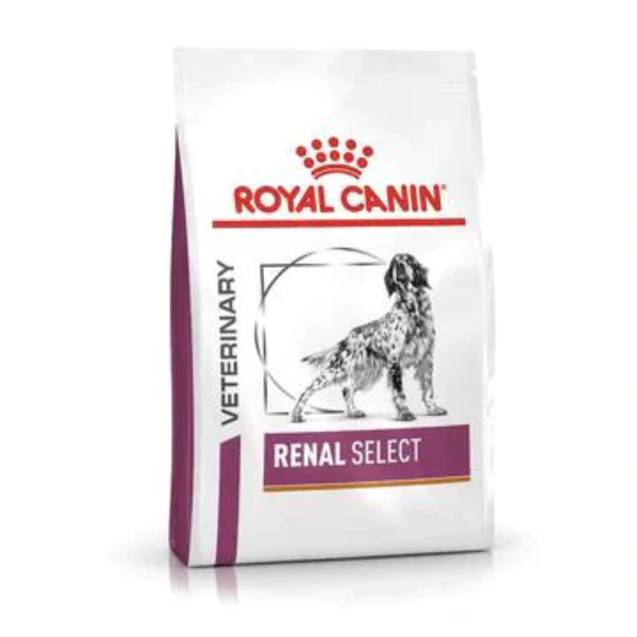 ROYAL CANIN - CANINE RENAL SPECIAL 2KG / 犬用腎臟嗜口性配方糧 2公斤