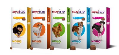 Bravecto Chews For Dogs